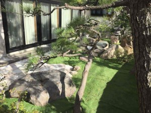 IMG_0280_R_R