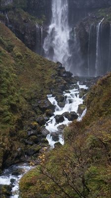 S__80216089_0