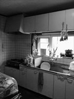IMG_3767_R_R