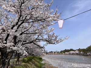 nakao1
