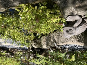 IMG_4808_R