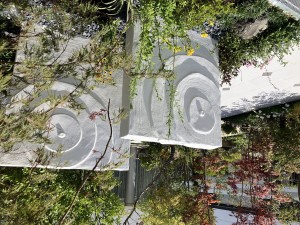 IMG_4942_R