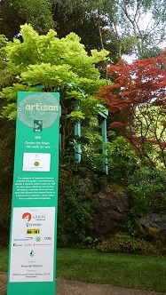 チェルシー3