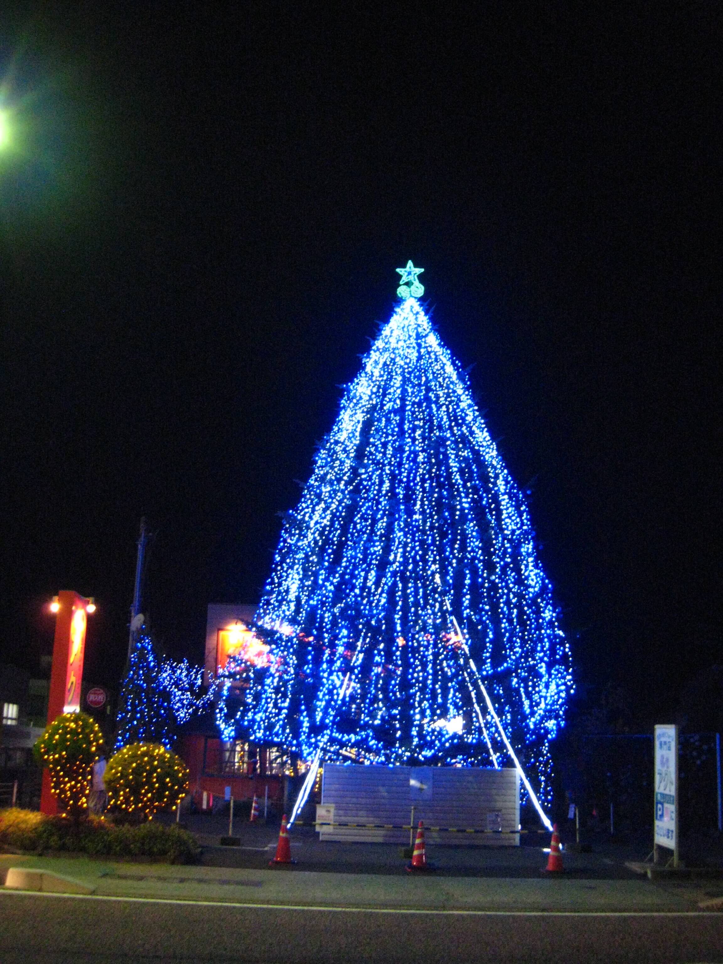 青山クリスマスツリー